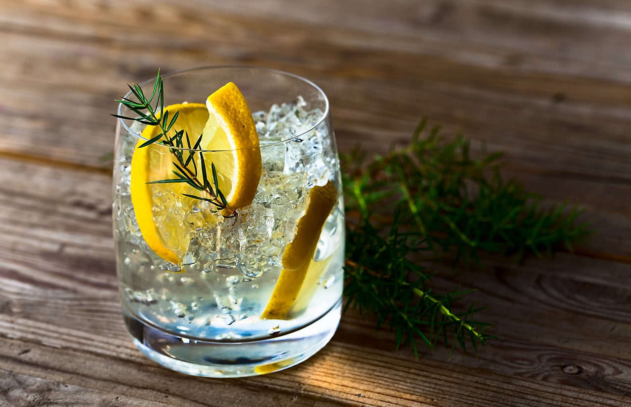 Gin legal definition article