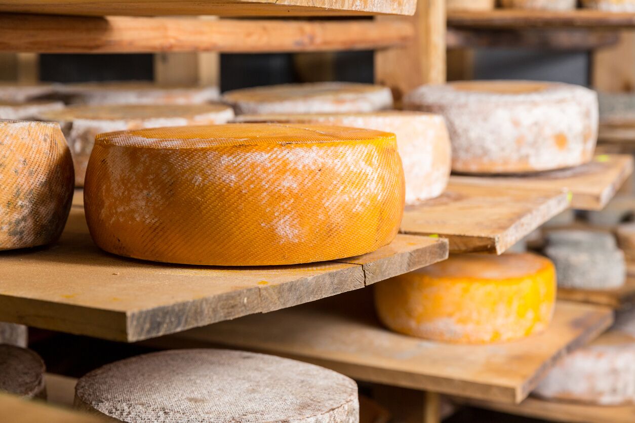 Cheese – understanding the main styles
